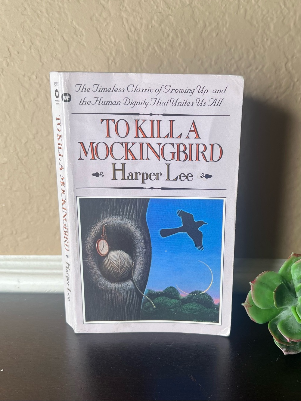 Vintage 1982 To Kill A Mockingbird Paperback Harper Lee Warner Books Classic